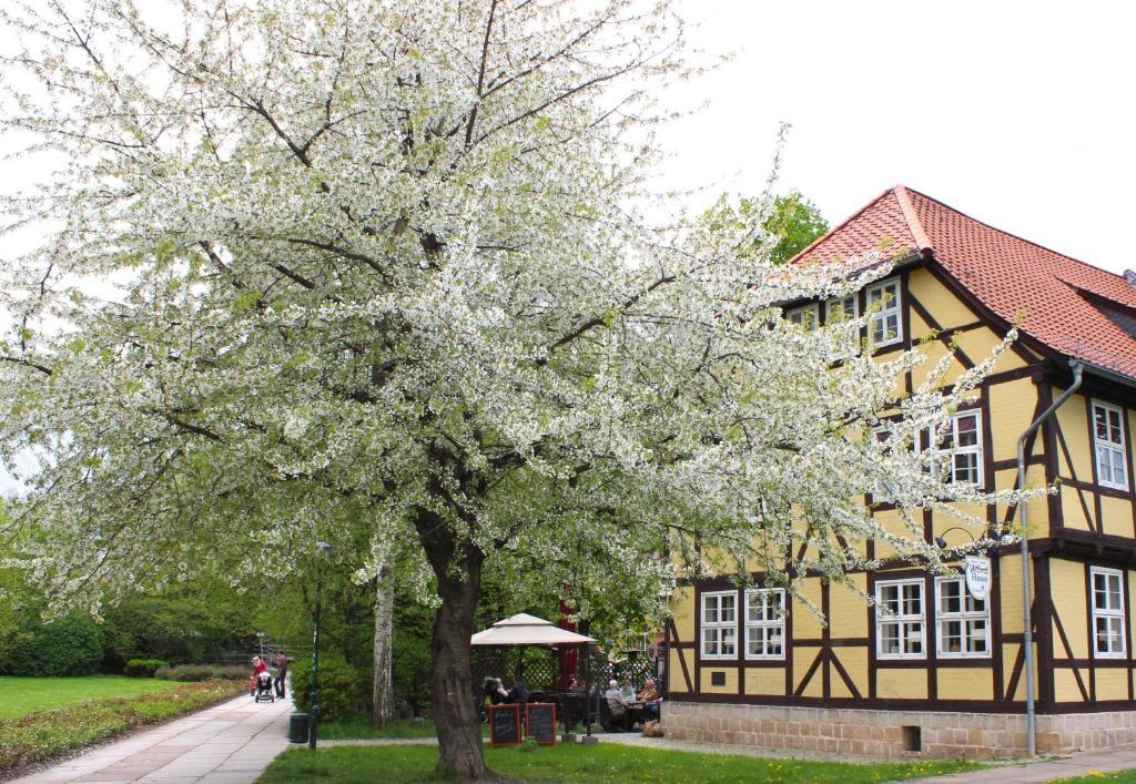 Guest house Kurhausblick